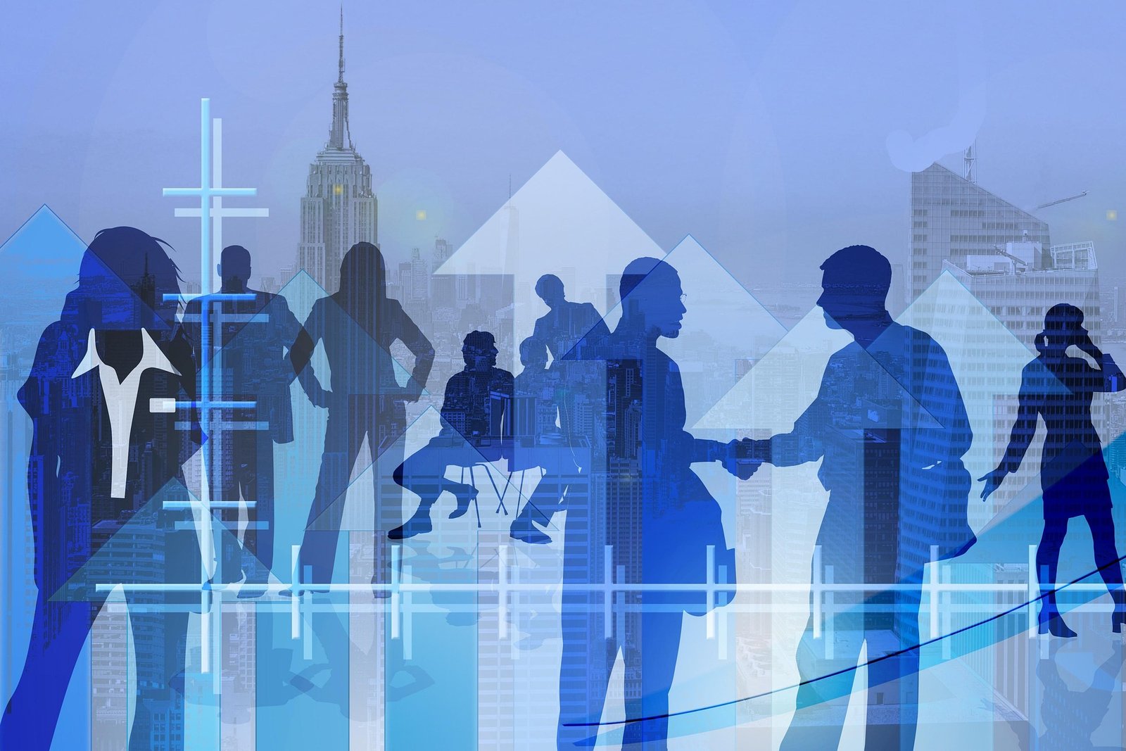 Examples of Organizational Development